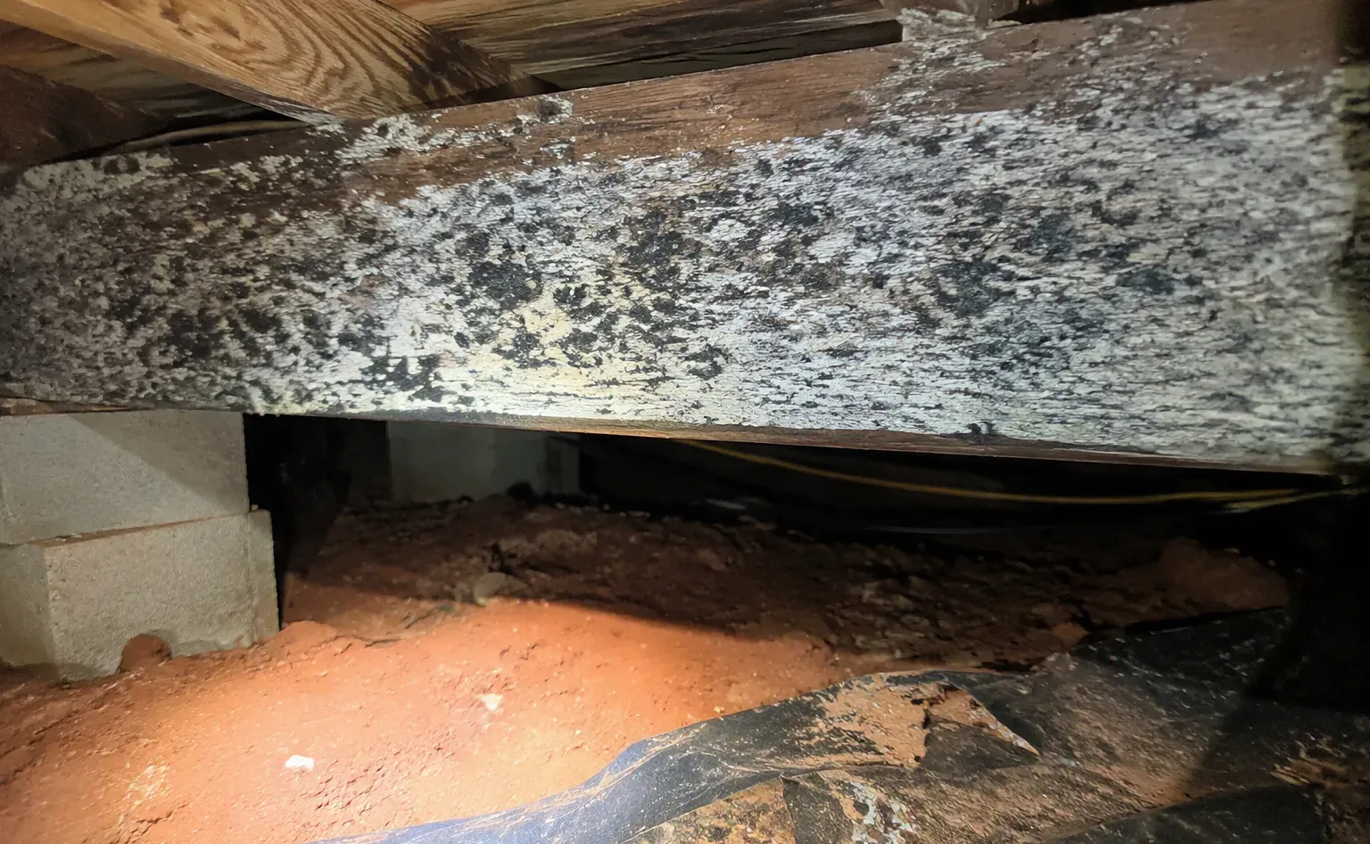 Mold remediation after water damage in a Gastonia kitchen